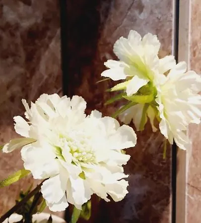 Chateau Des Senechaux, Bourdeilles