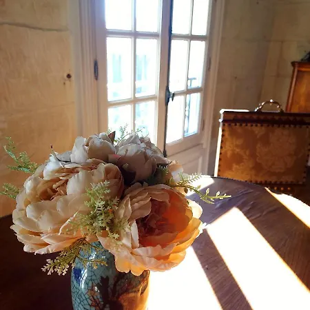 Chateau Des Senechaux, Apartament *