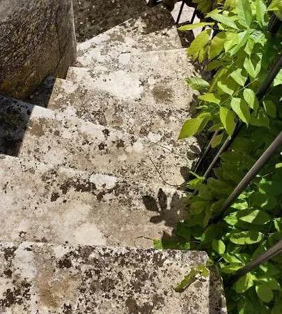 Apartament Chateau Des Senechaux,