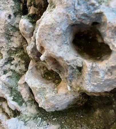 Apartament Chateau Des Senechaux, *