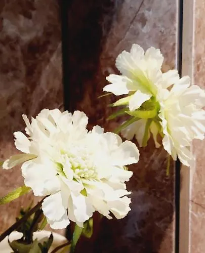 Chateau Des Senechaux, Bourdeilles