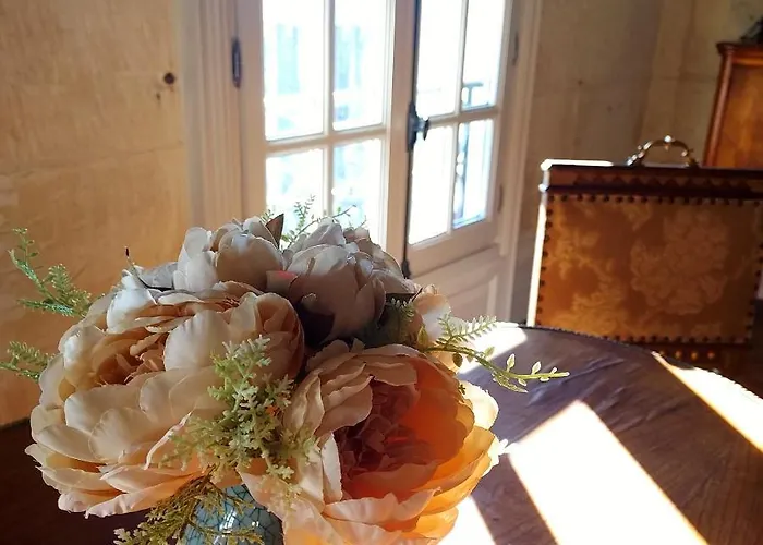 Chateau Des Senechaux, דירה *