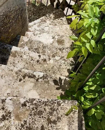 דירה Chateau Des Senechaux,