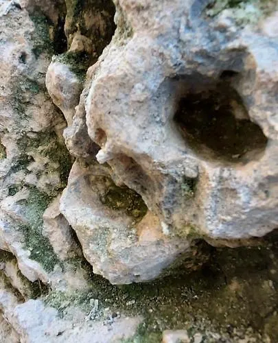 דירה Chateau Des Senechaux, *